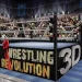 Wrestling Revolution 3D MOD APK